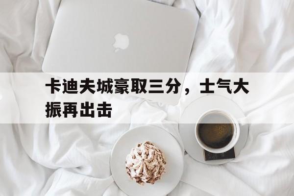 卡迪夫城豪取三分，士气大振再出击-九游体育官网
