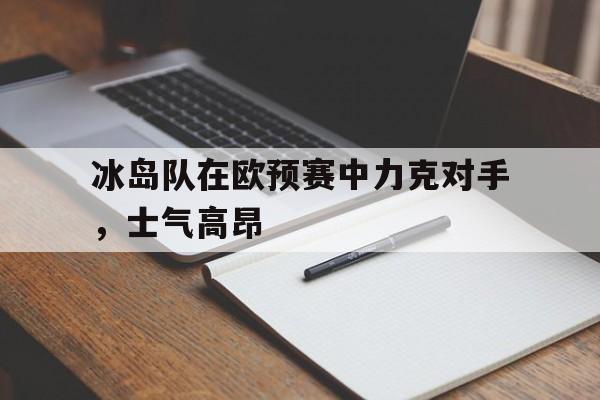 冰岛队在欧预赛中力克对手，士气高昂-九游体育下载